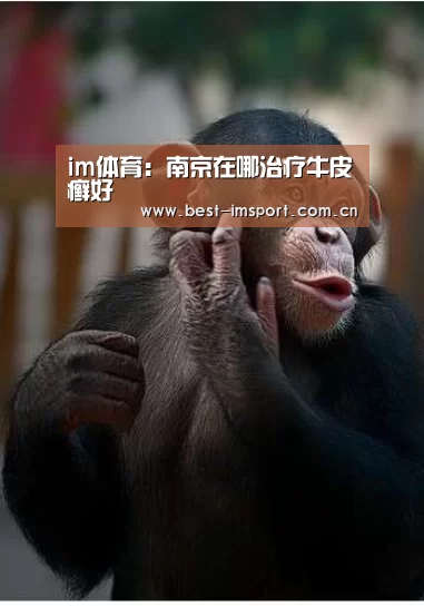 im体育官网